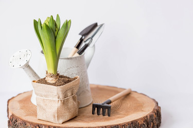 Similar image 21346151