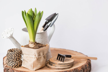 Similar image 21346898