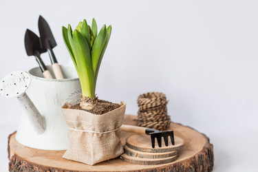 Similar image 21357718