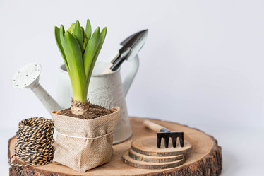 Similar image 21346901