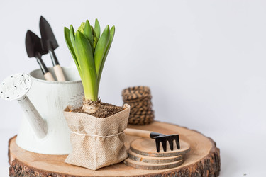 Similar image 21346153