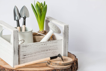 Similar image 21346905