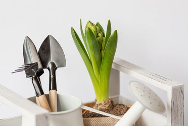 Similar image 21346910