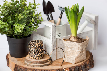 Similar image 21346912