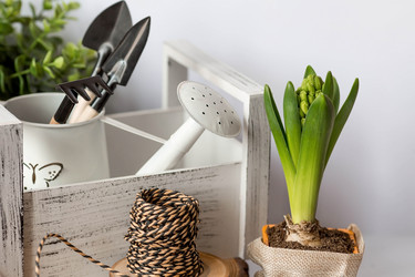 Similar image 21357619