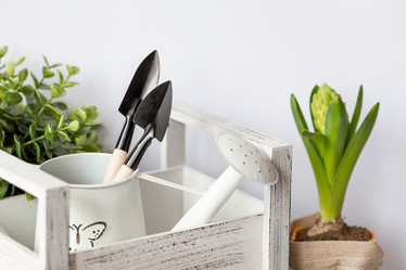 Similar image 21346157