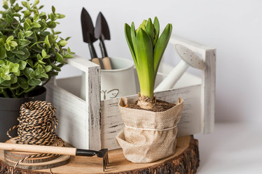 Similar image 21346172