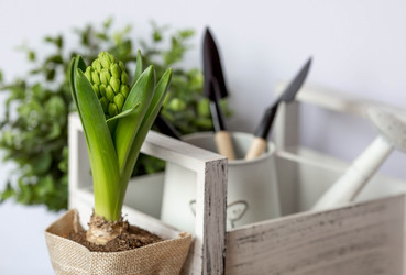 Similar image 21346173