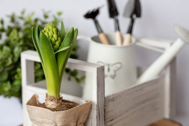 Similar image 21346175