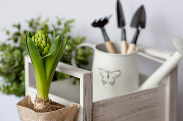 Similar image 21346179