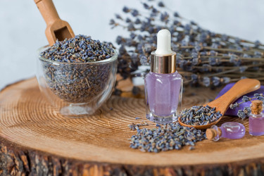 Similar image 21346191