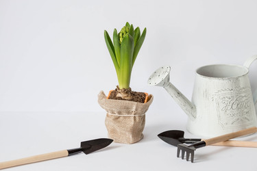 Similar image 21346199