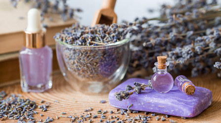 Similar image 21346206