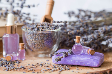 Similar image 21346209