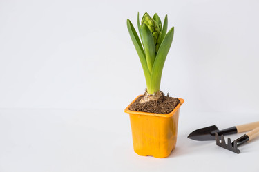 Similar image 21346214