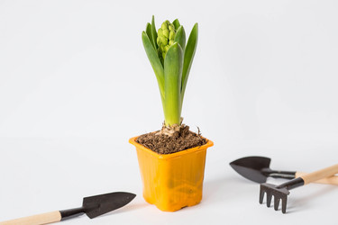 Similar image 21346216