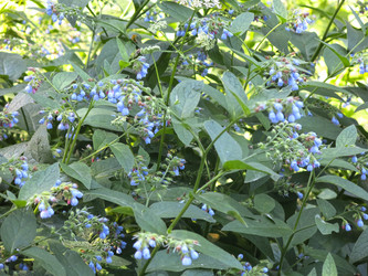 Similar image 21346426