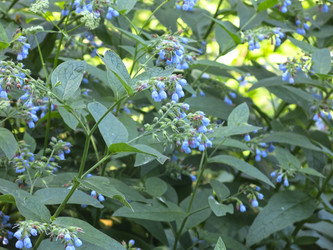 Similar image 21346427