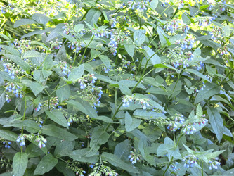 Similar image 21346428