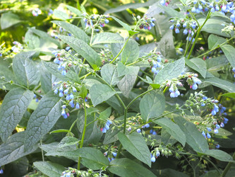 Similar image 21346429