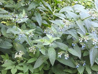 Similar image 21346430