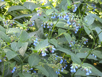 Similar image 21346431