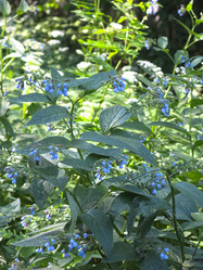 Similar image 21346432