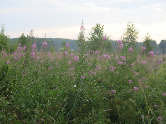 Similar image 21346437