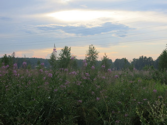 Similar image 21346439