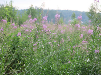 Similar image 21346442