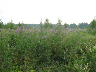 Similar image 21346444