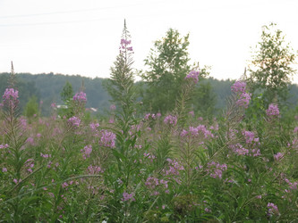 Similar image 21346445