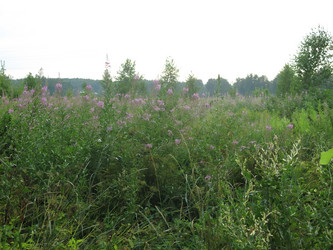 Similar image 21346447