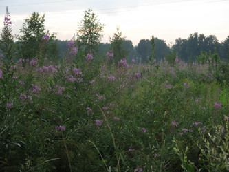 Similar image 21346449