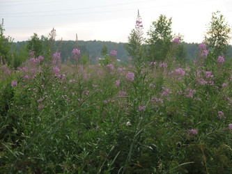 Similar image 21346450