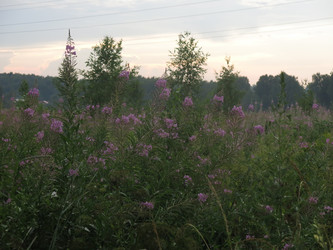 Similar image 21346451