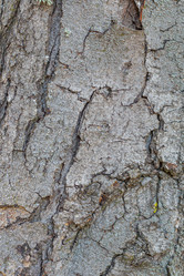 Similar image 21347135