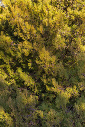 Similar image 21347136