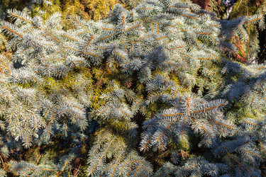 Similar image 21347137