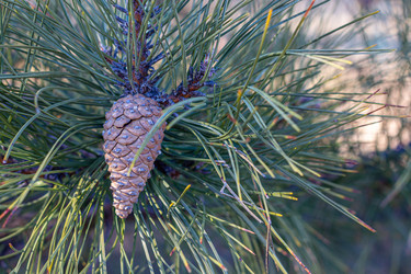 Similar image 21347139