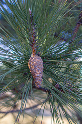 Similar image 21347141