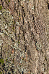 Similar image 21347231