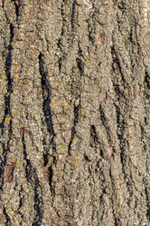 Similar image 21347232