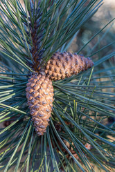 Similar image 21347235