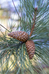 Similar image 21347236