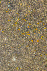 Similar image 21347247