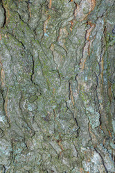 Similar image 21347268