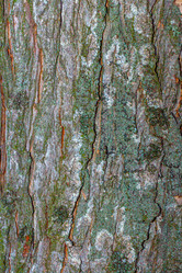 Similar image 21347271