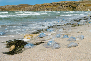 Similar image 21346744