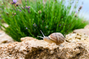 Similar image 21346745